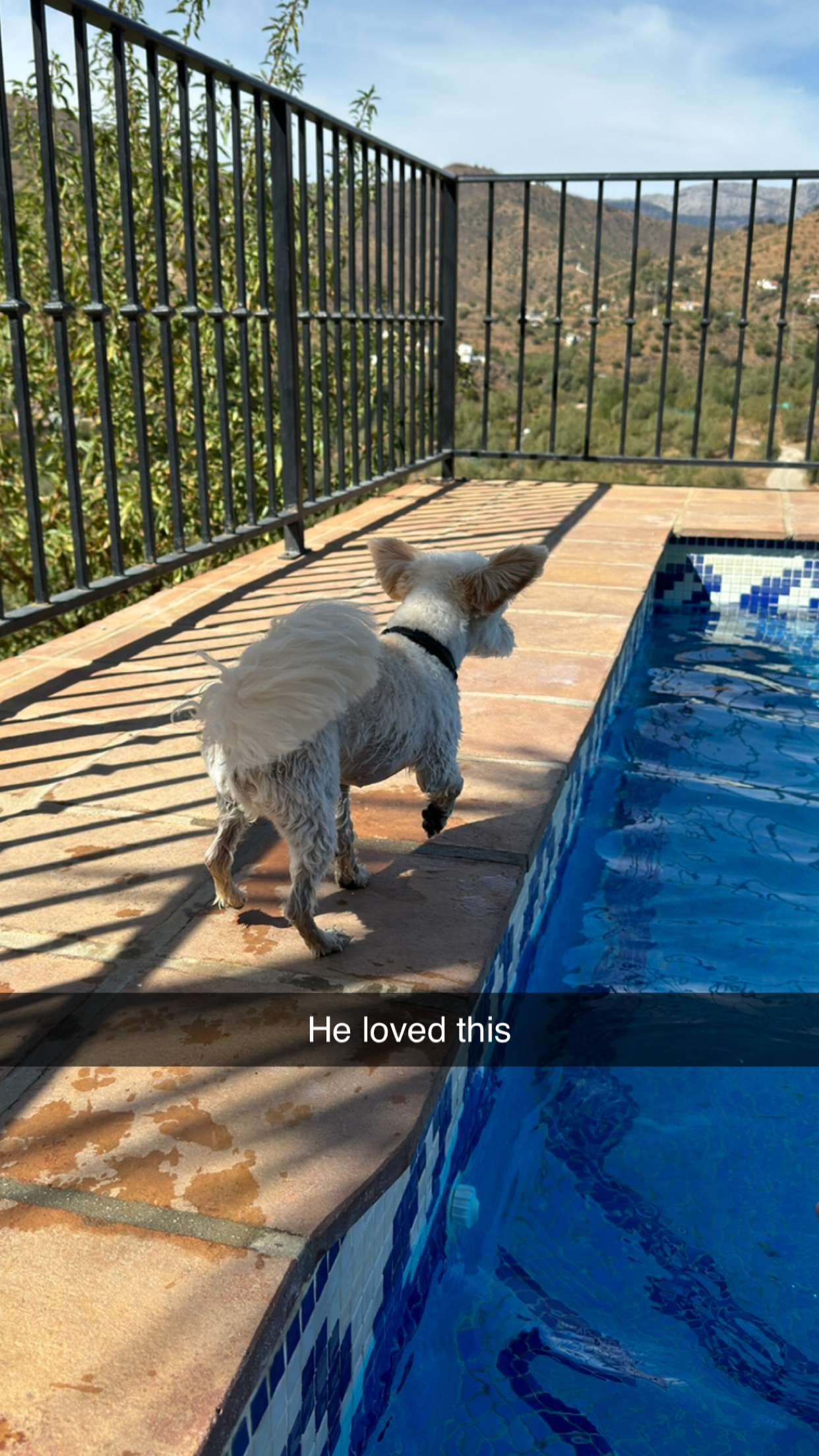 mathilda_bergs snapchat image archive image