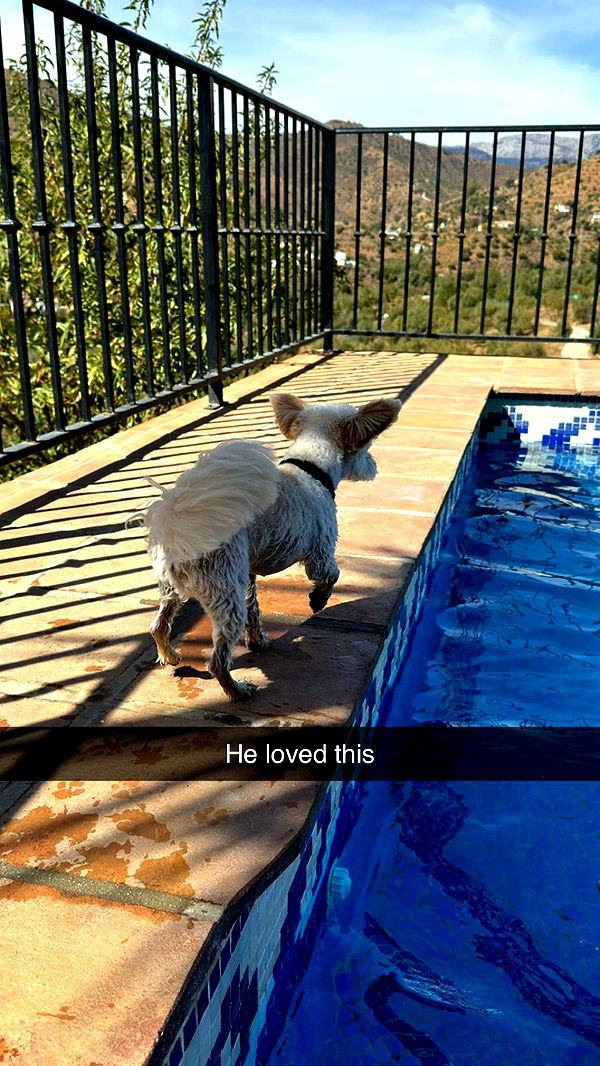 mathilda_bergs image ~ Altpins