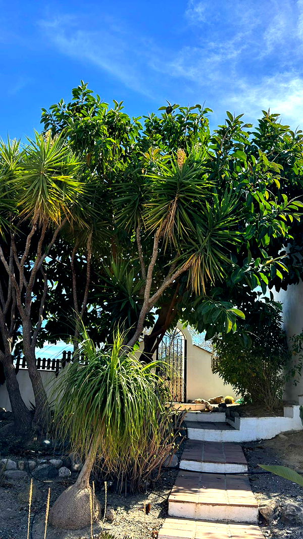 mathilda_bergs image ~ Altpins