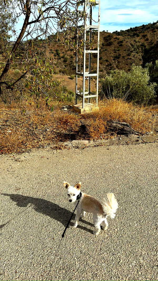 mathilda_bergs image ~ Altpins