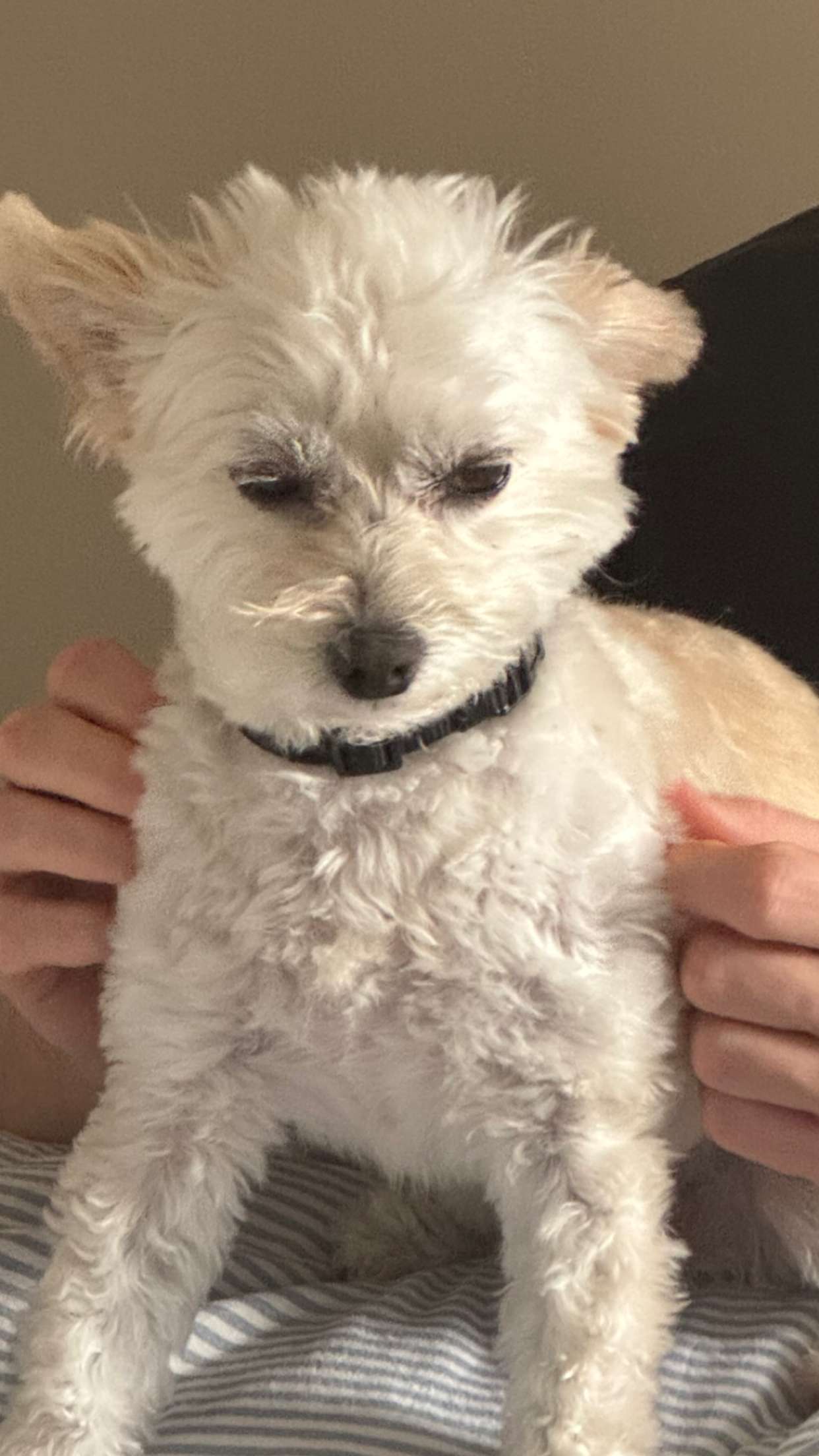 mathilda_bergs snapchat image archive image