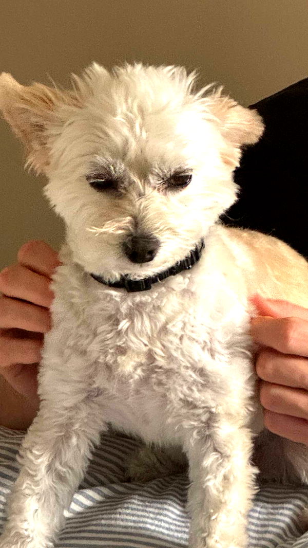 mathilda_bergs image ~ Altpins