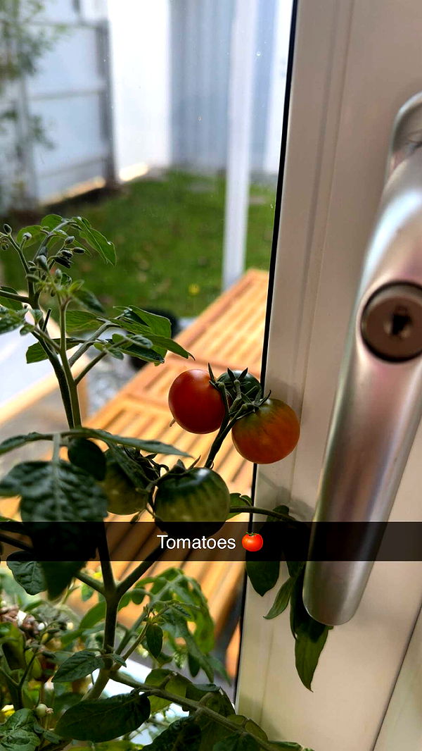 mathilda_bergs image ~ Altpins