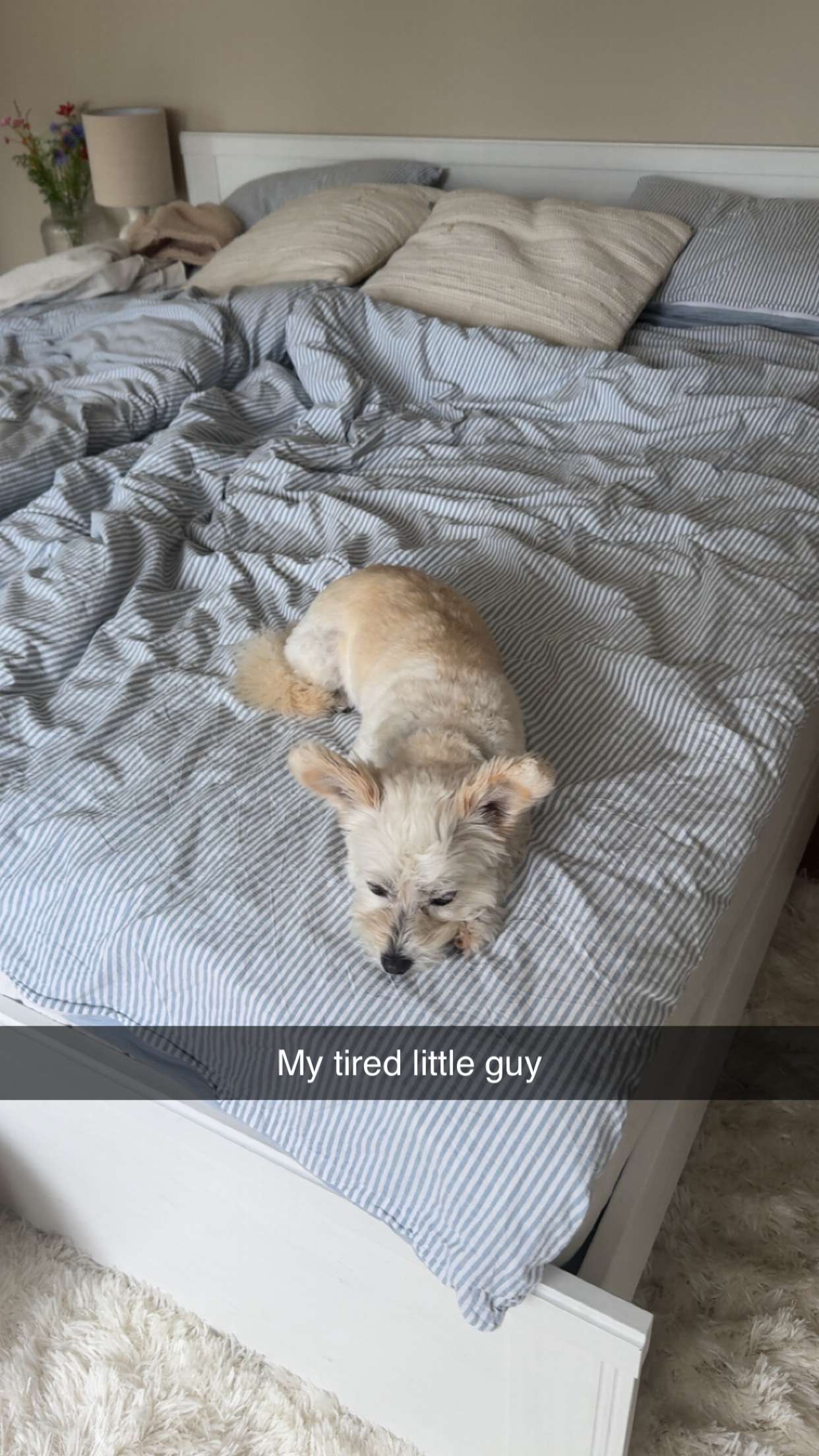 mathilda_bergs snapchat image archive image