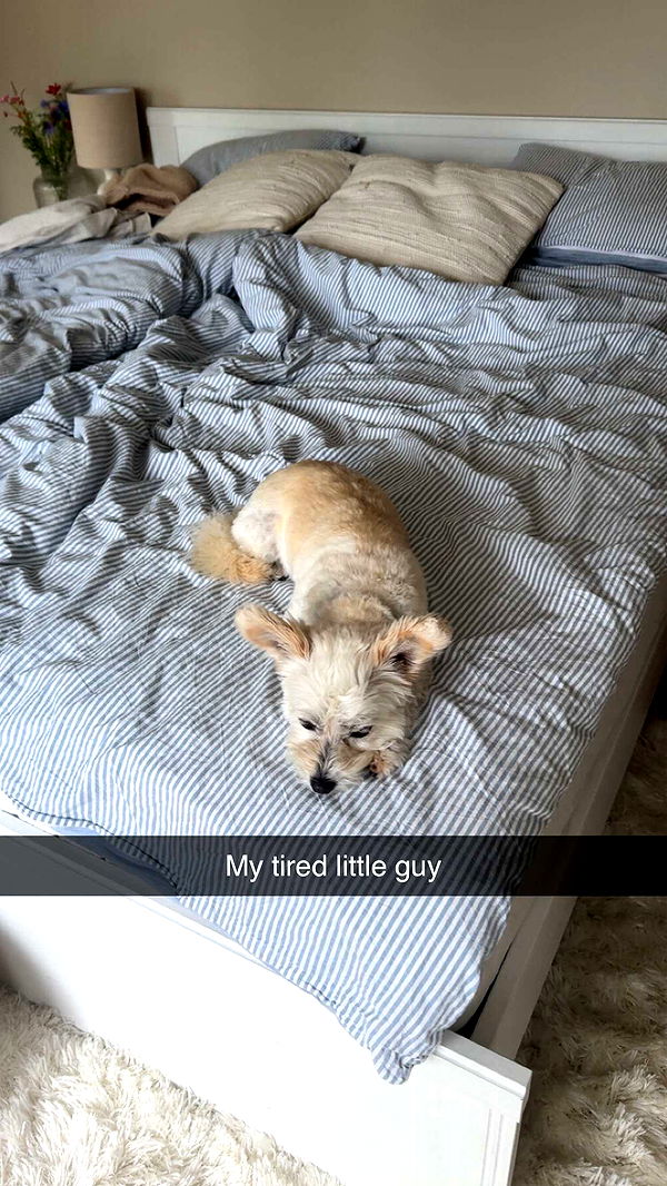 mathilda_bergs image ~ Altpins