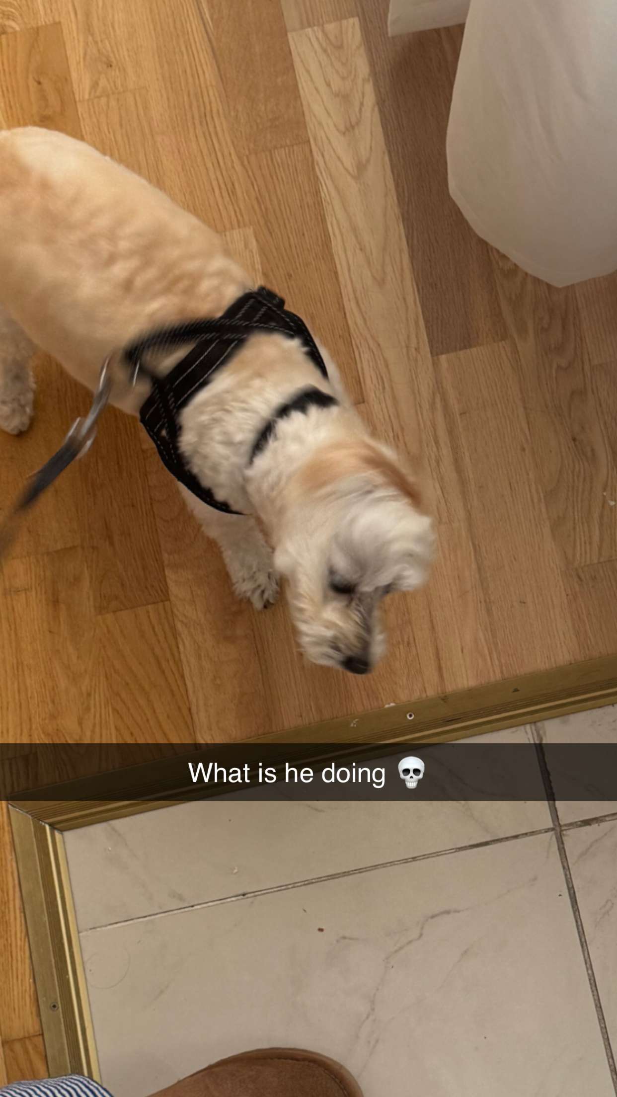 mathilda_bergs snapchat image archive image