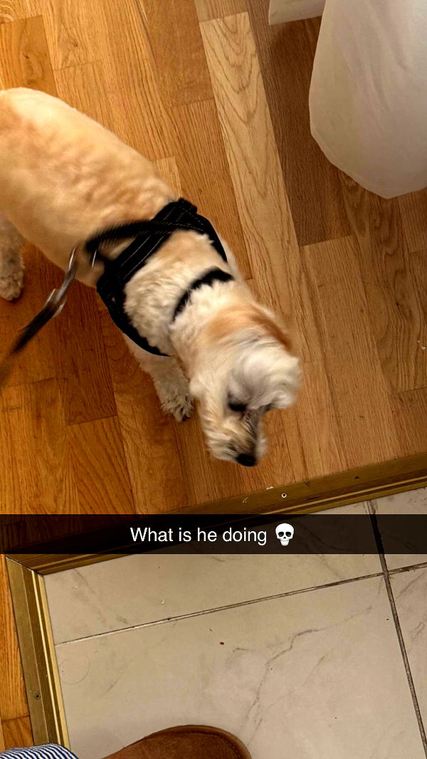 mathilda_bergs image ~ Altpins