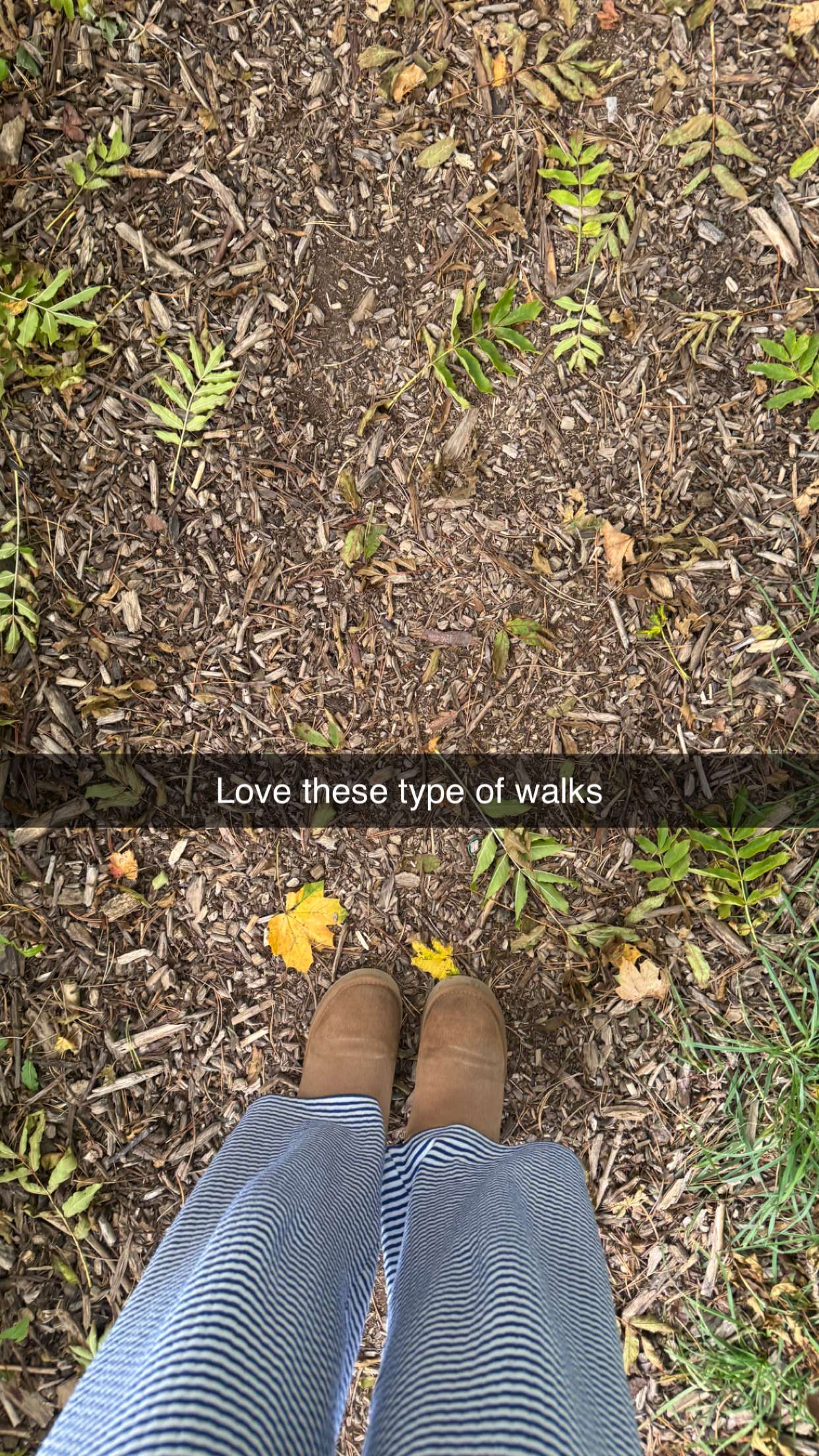 mathilda_bergs snapchat image archive image