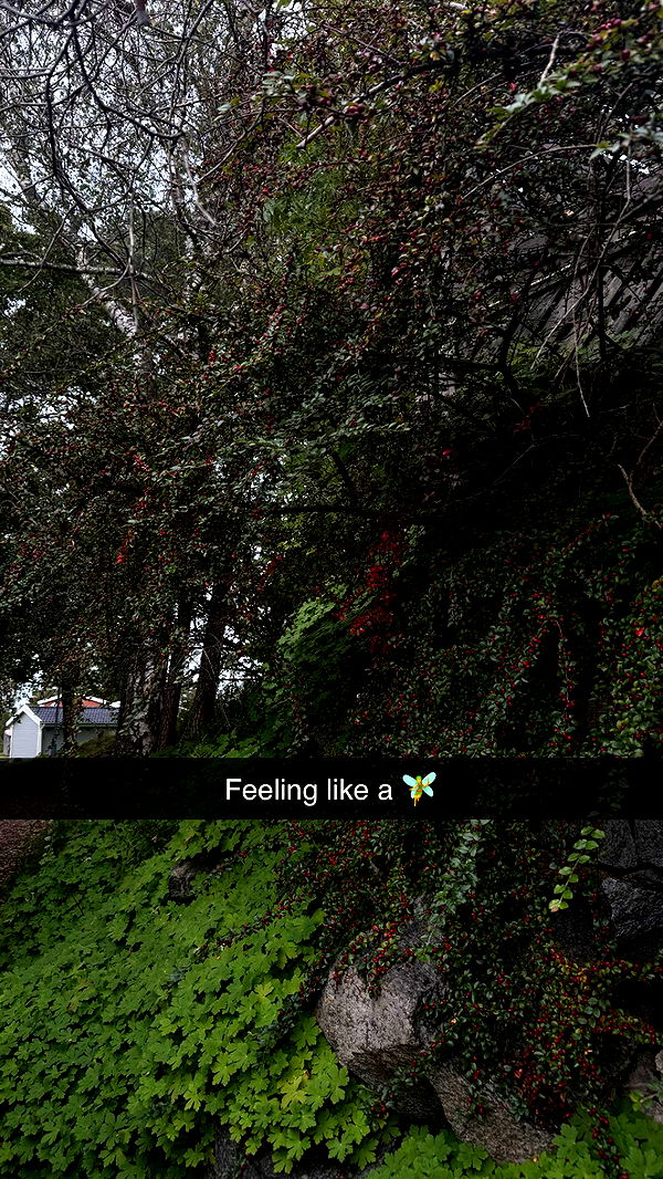 mathilda_bergs image ~ Altpins