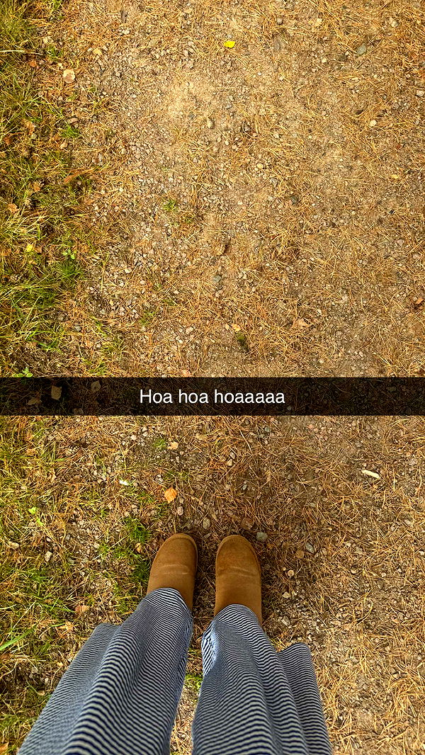 mathilda_bergs image ~ Altpins