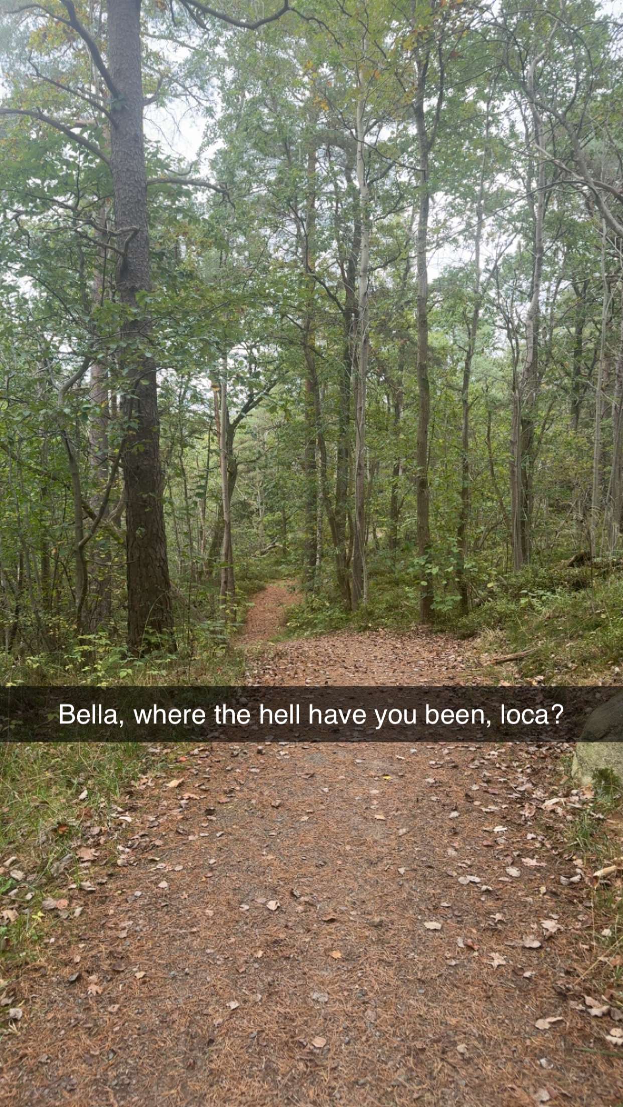 mathilda_bergs snapchat image archive image