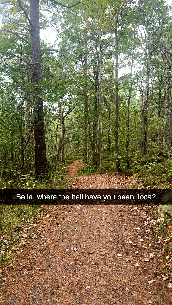 mathilda_bergs image ~ Altpins