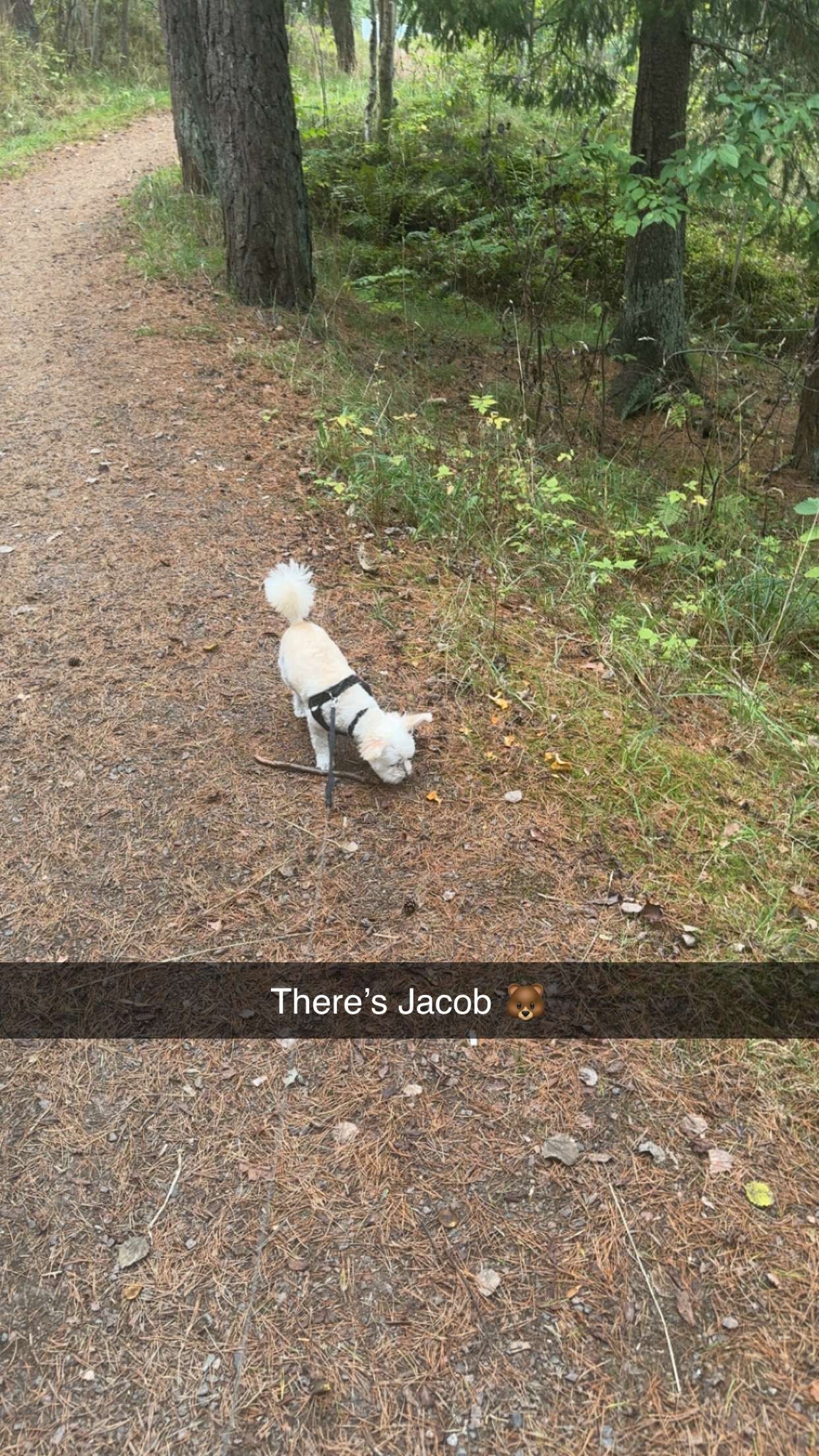 mathilda_bergs snapchat image archive image