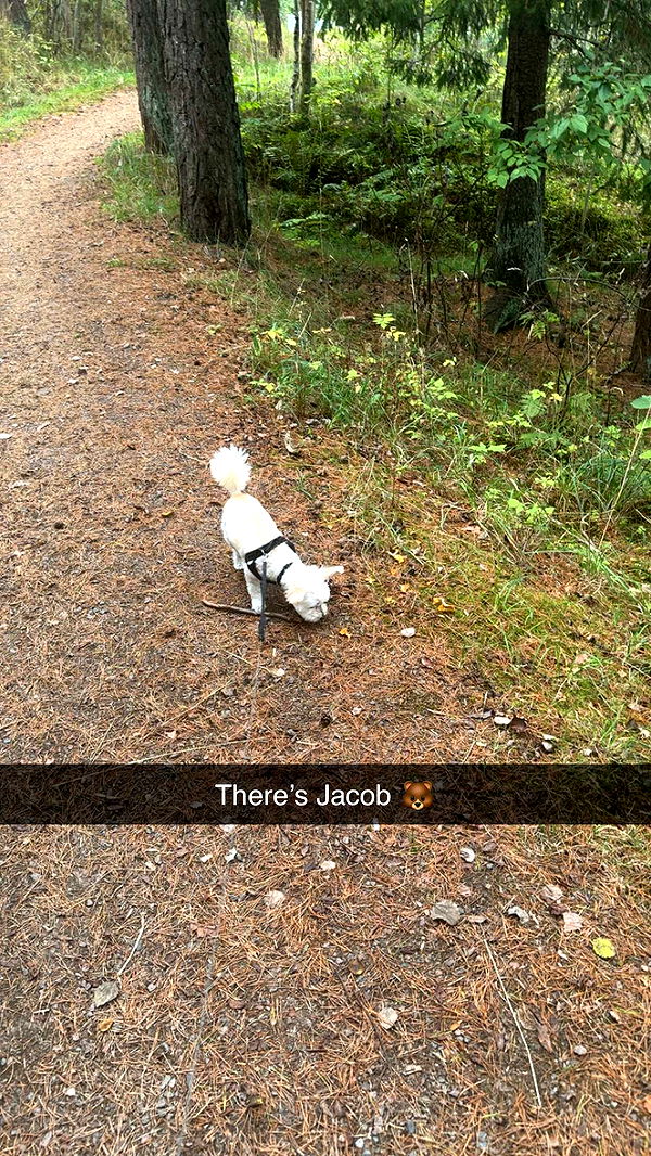 mathilda_bergs image ~ Altpins