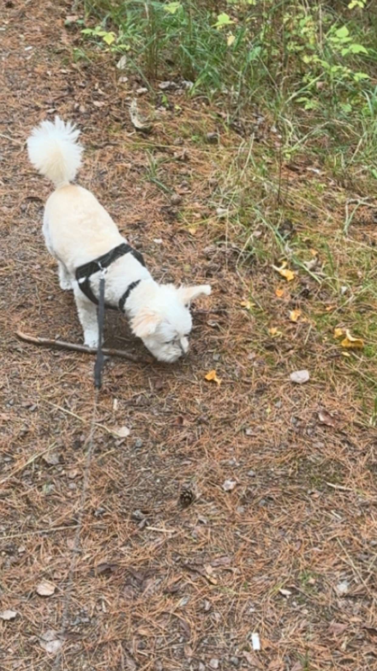 mathilda_bergs snapchat image archive image