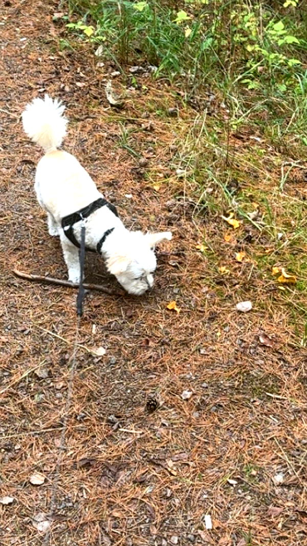 mathilda_bergs image ~ Altpins