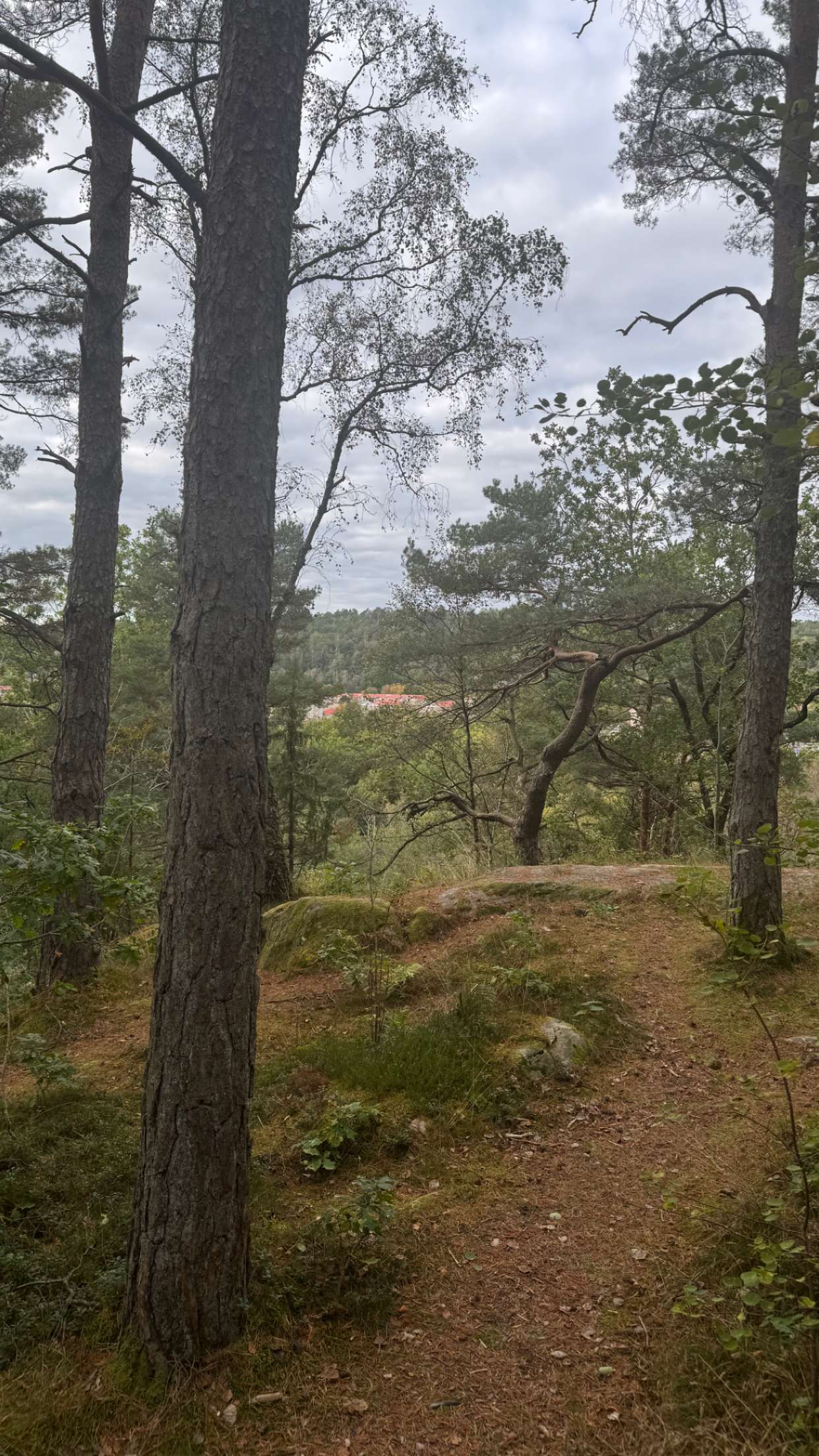 mathilda_bergs snapchat image archive image