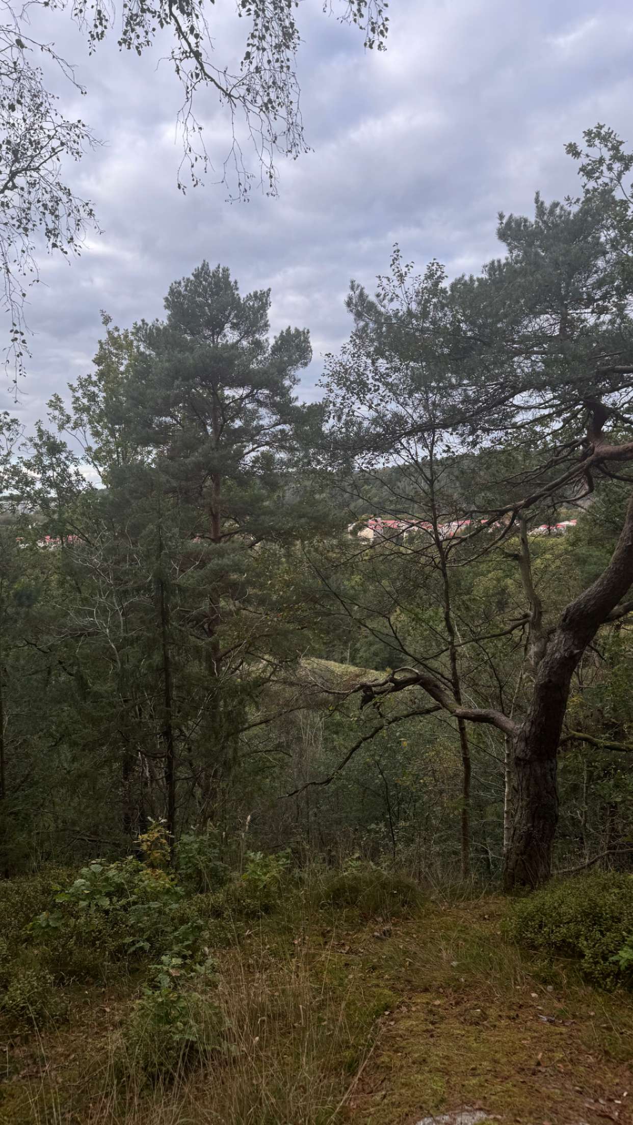 mathilda_bergs snapchat image archive image