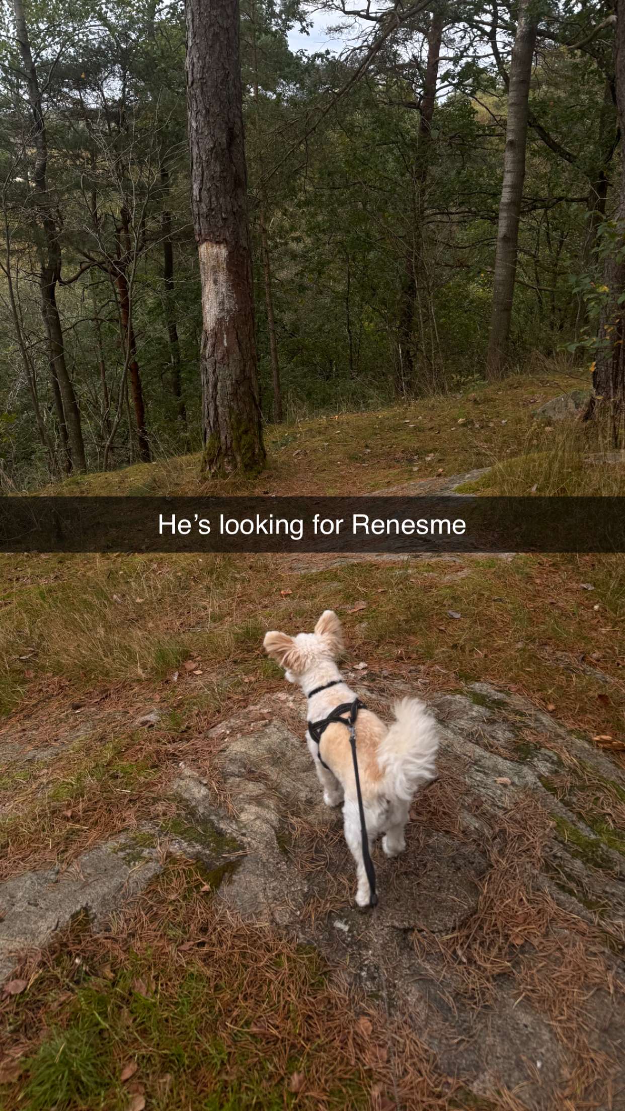 mathilda_bergs snapchat image archive image