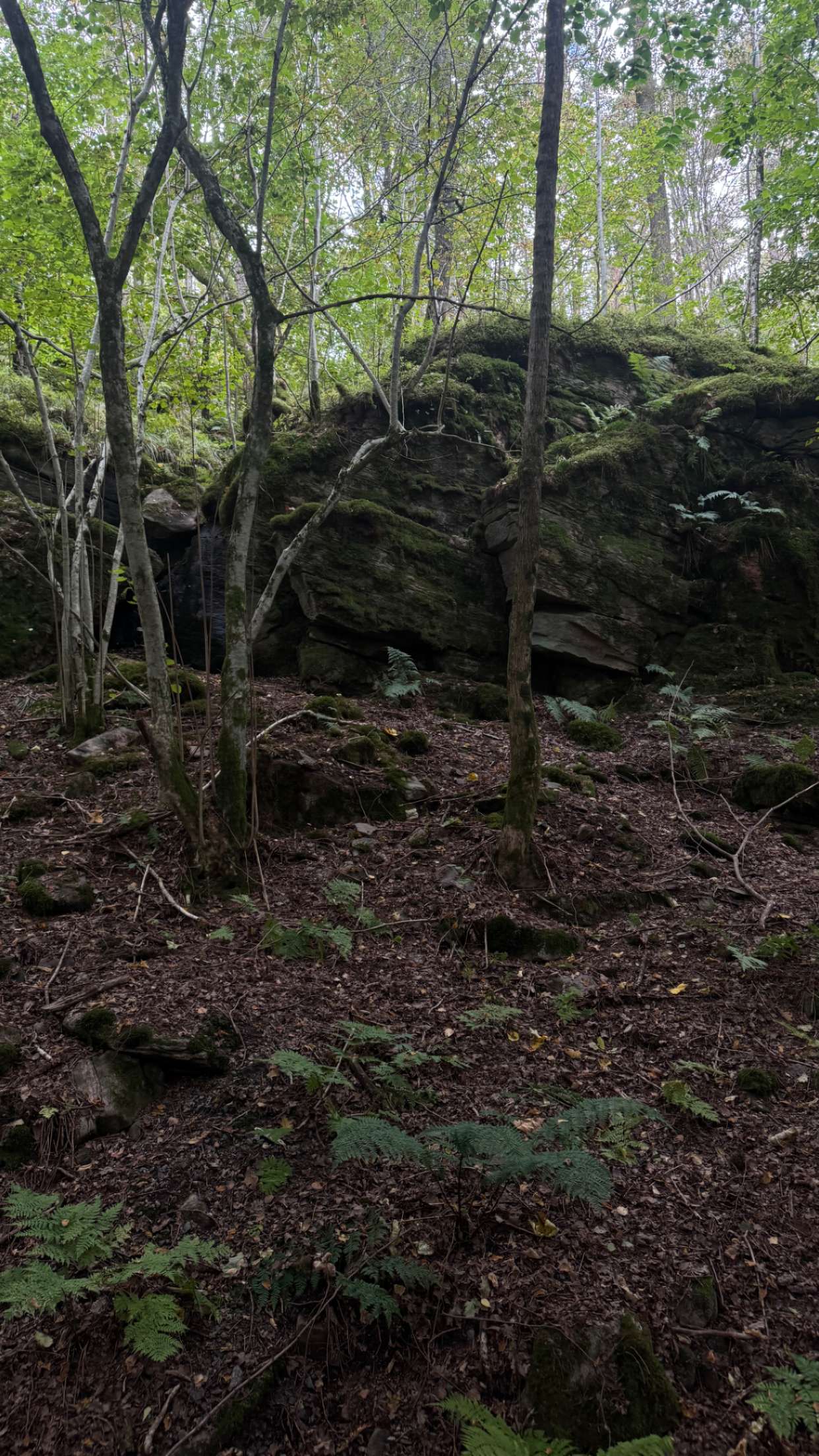 mathilda_bergs snapchat image archive image