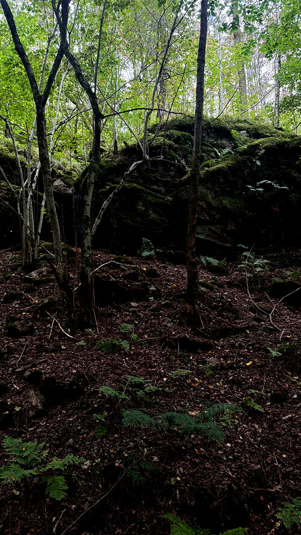 mathilda_bergs image ~ Altpins