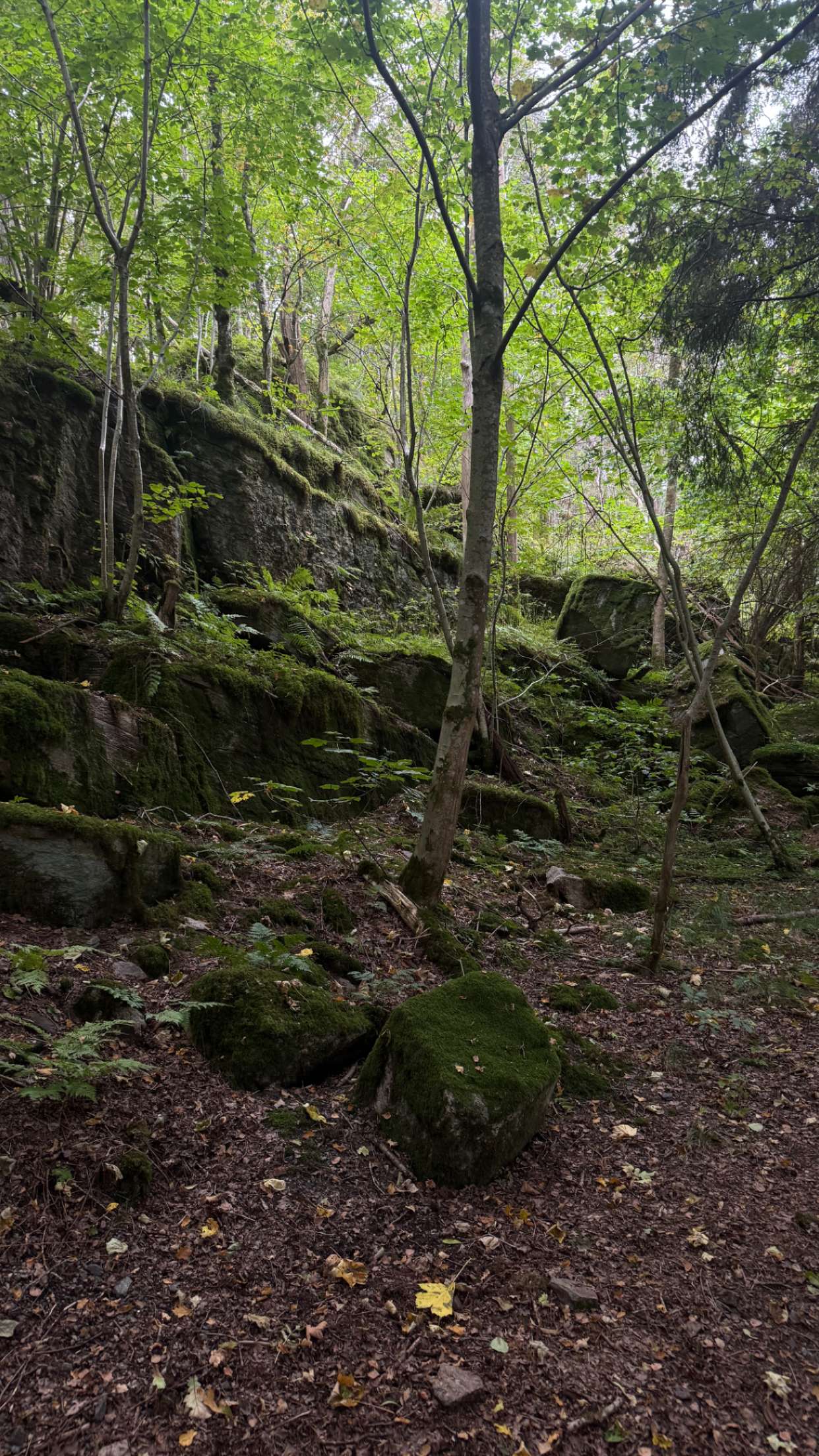 mathilda_bergs snapchat image archive image