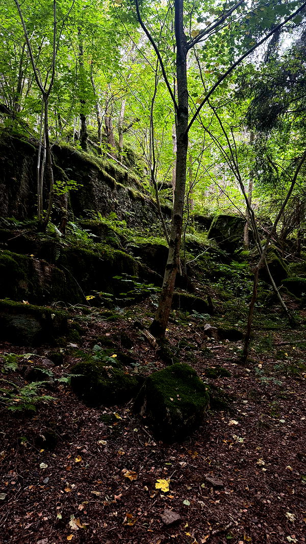 mathilda_bergs image ~ Altpins