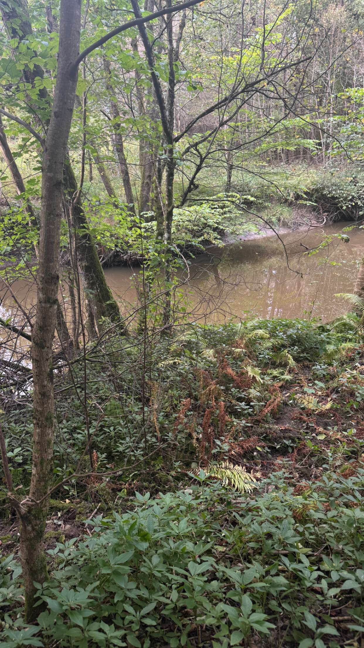 mathilda_bergs snapchat image archive image