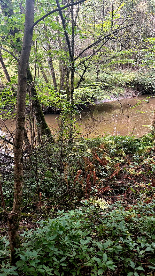 mathilda_bergs image ~ Altpins