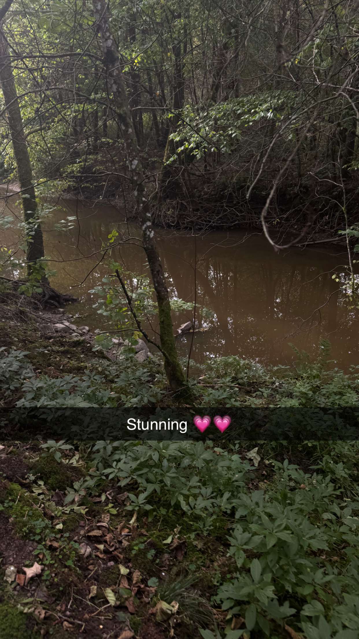 mathilda_bergs snapchat image archive image