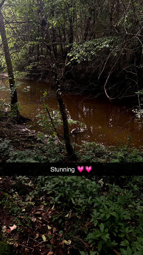 mathilda_bergs image ~ Altpins