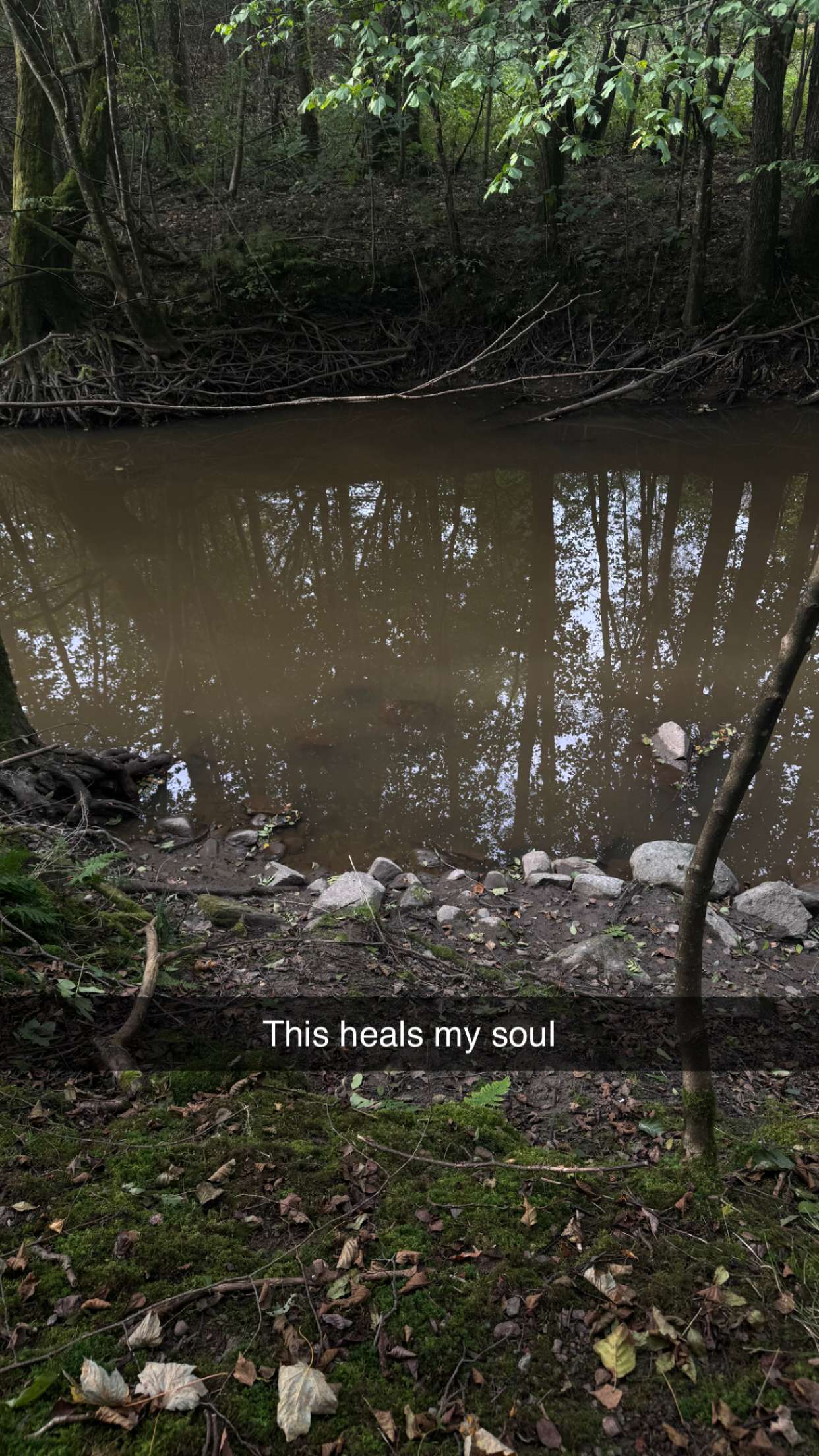 mathilda_bergs snapchat image archive image