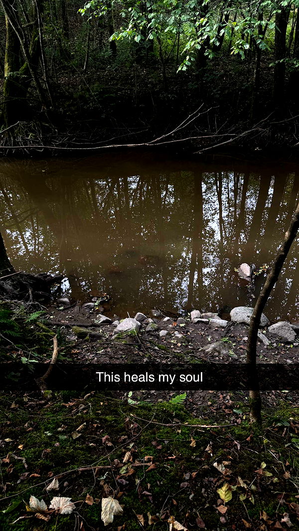 mathilda_bergs image ~ Altpins