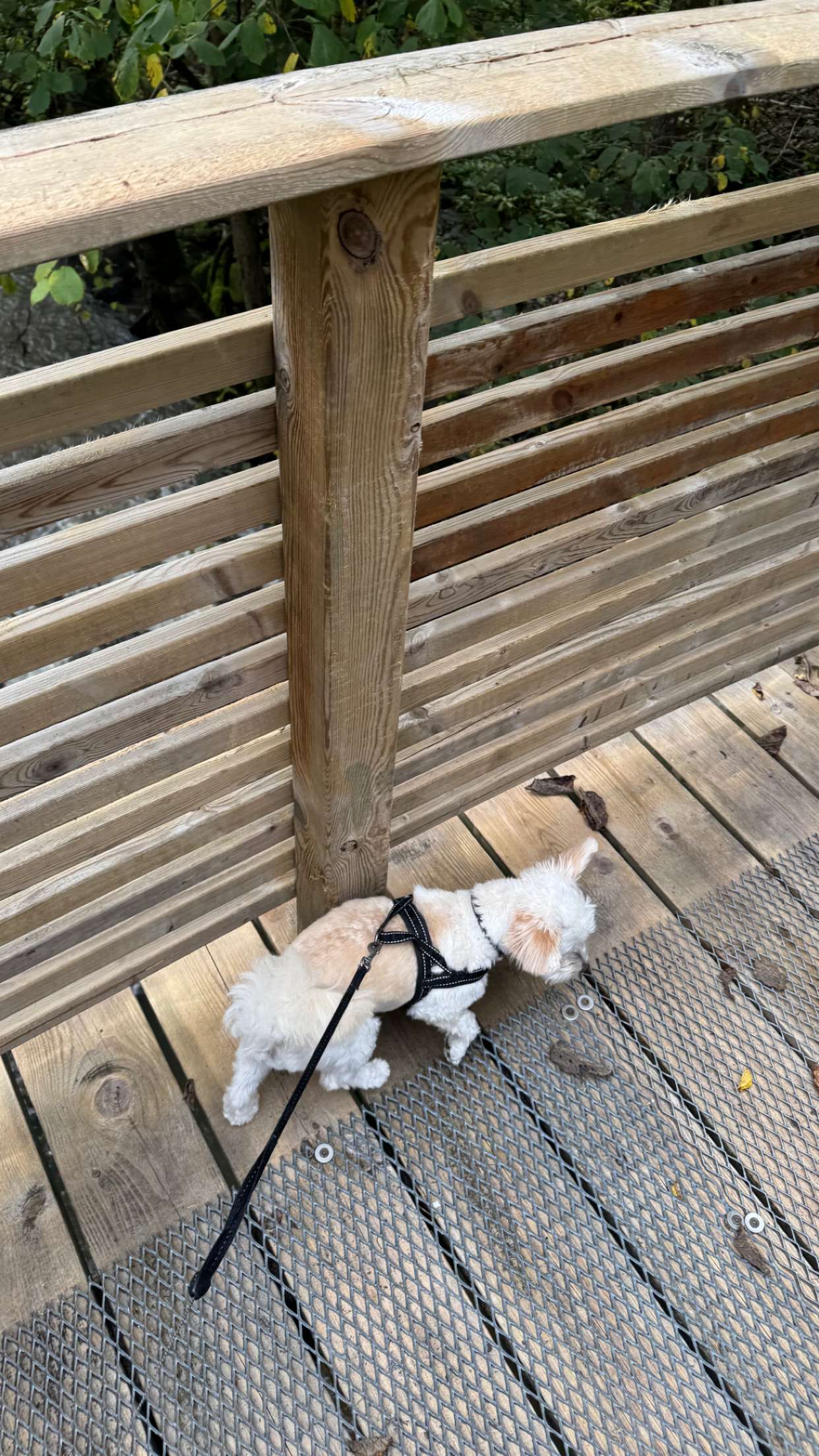 mathilda_bergs snapchat image archive image