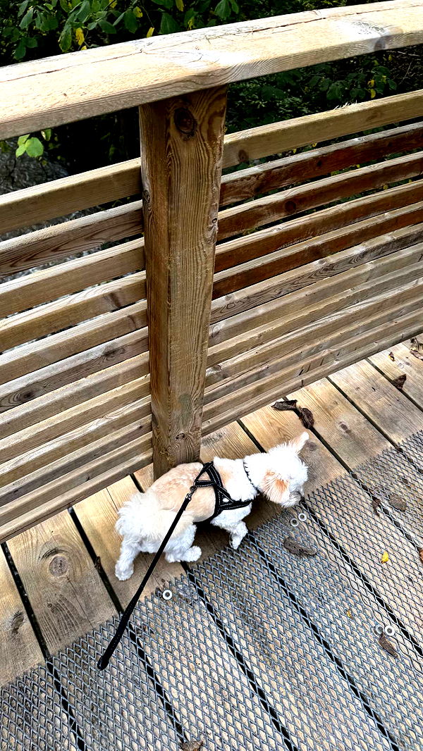 mathilda_bergs image ~ Altpins