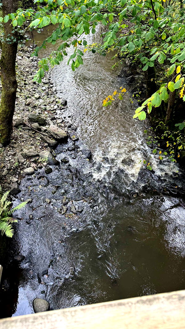 mathilda_bergs image ~ Altpins