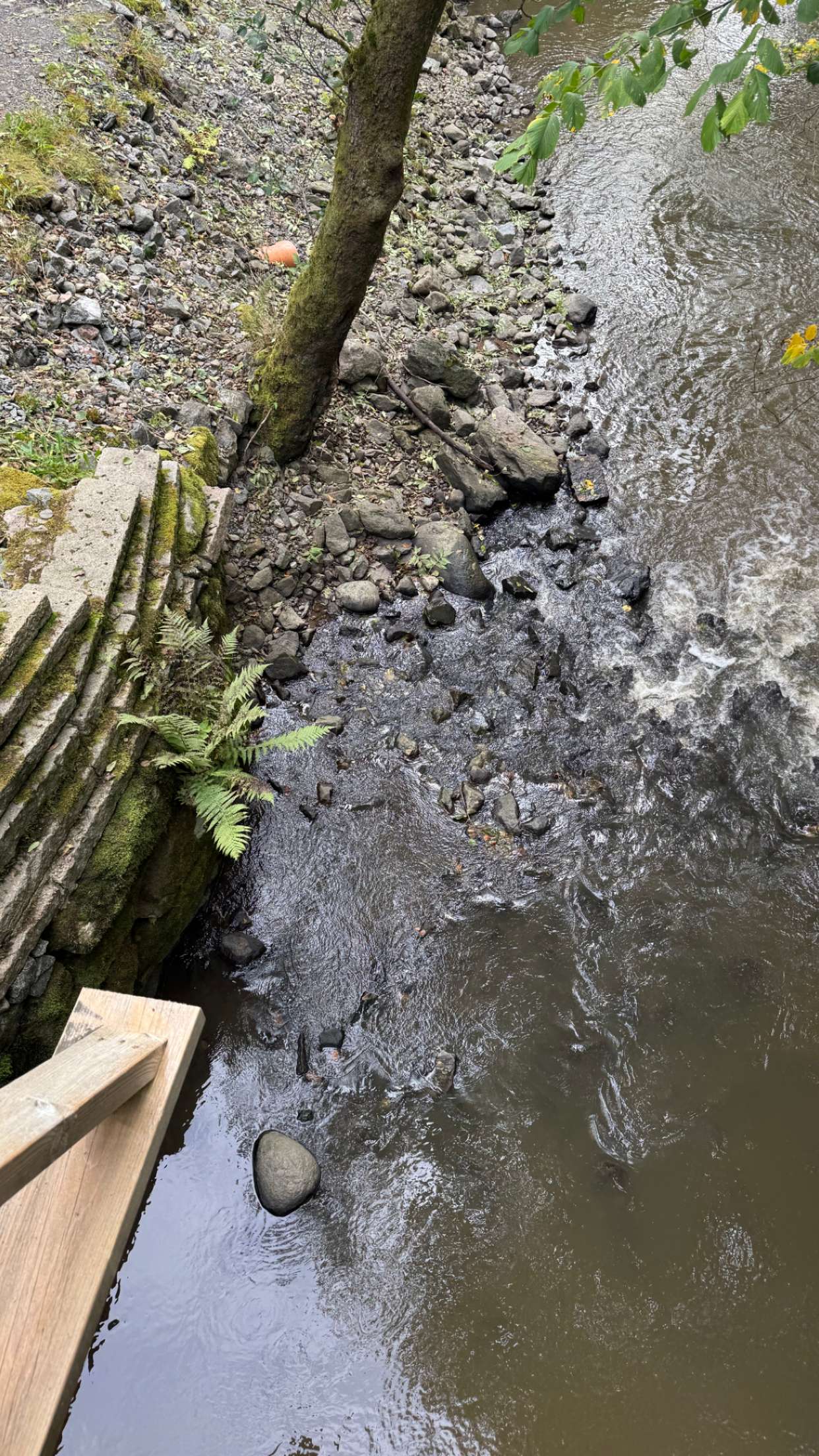 mathilda_bergs snapchat image archive image