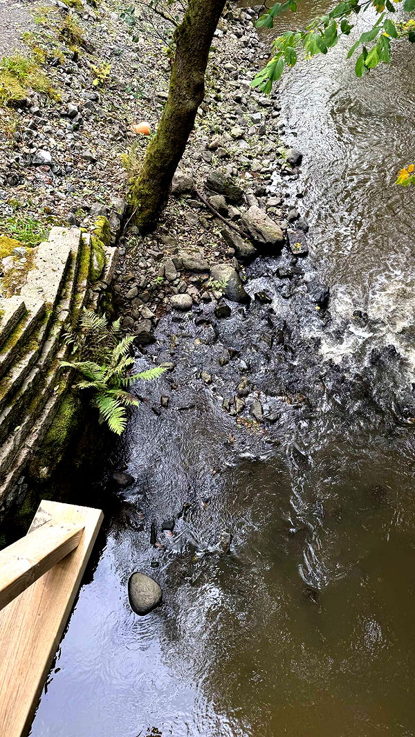 mathilda_bergs image ~ Altpins