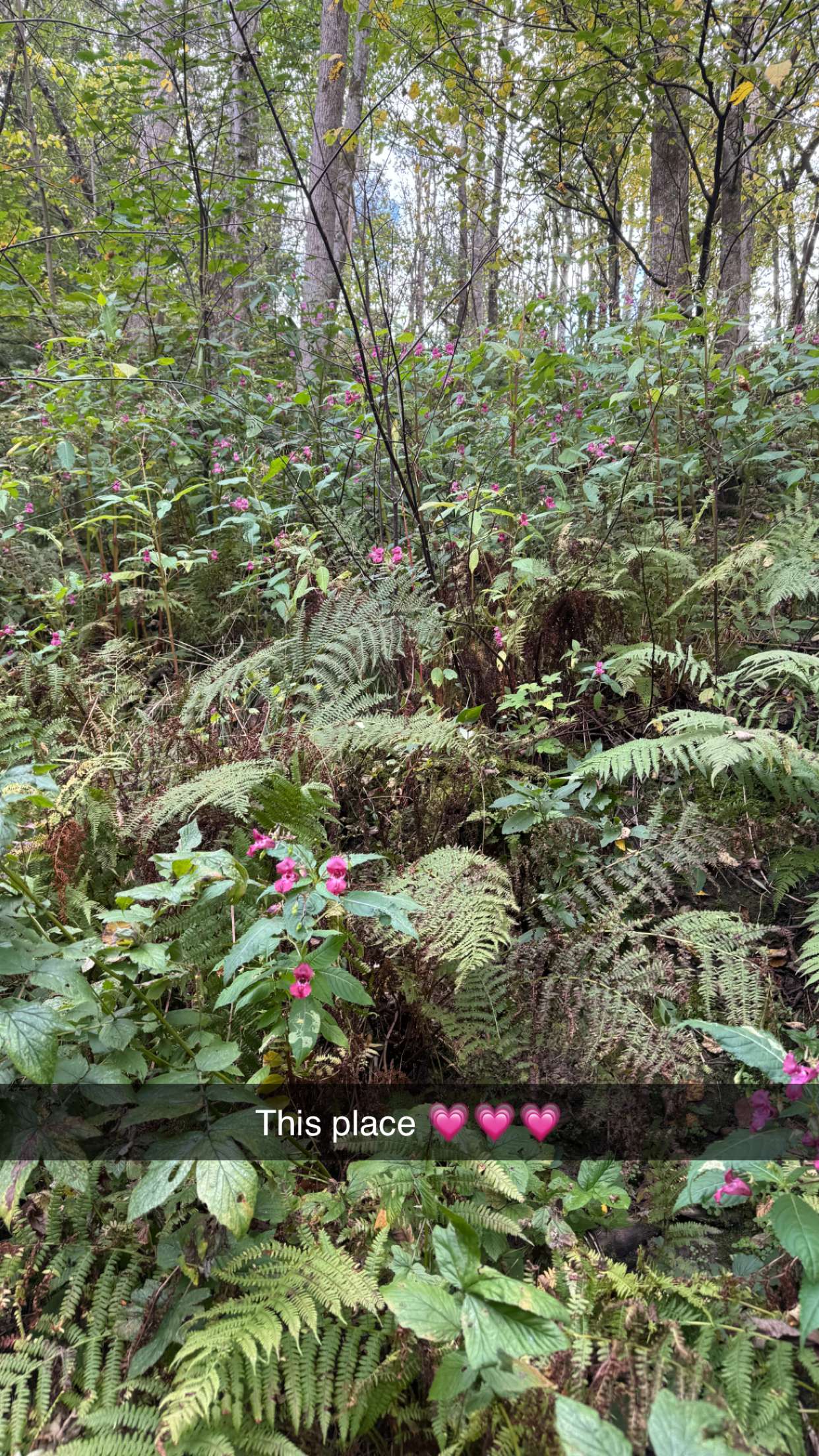 mathilda_bergs snapchat image archive image