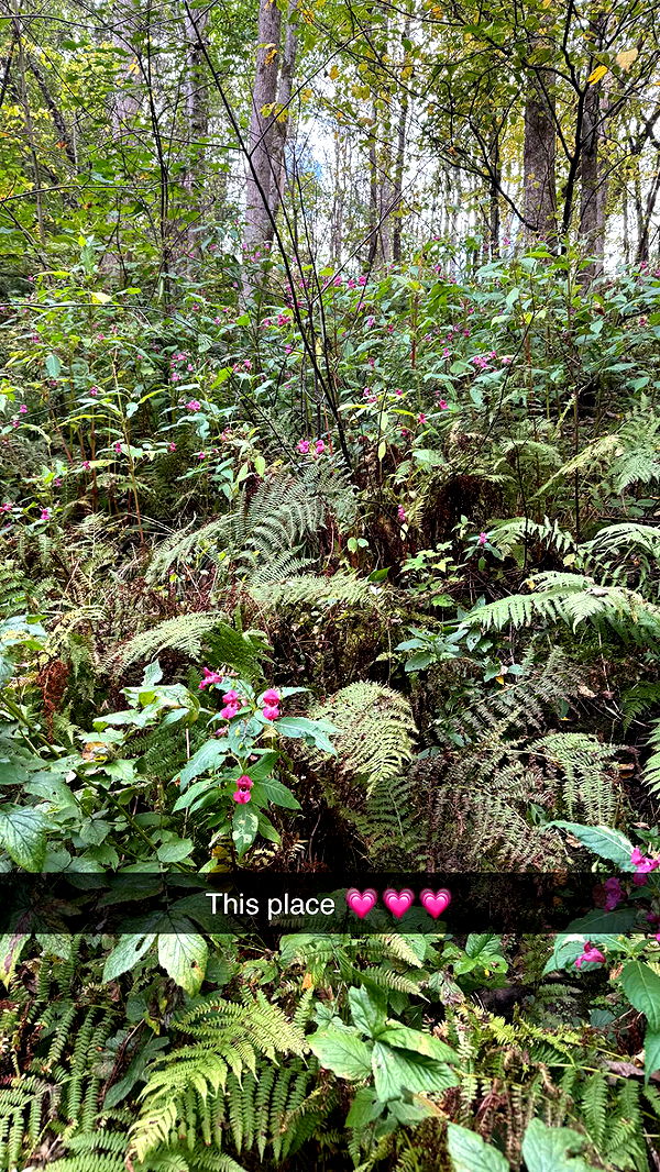 mathilda_bergs image ~ Altpins