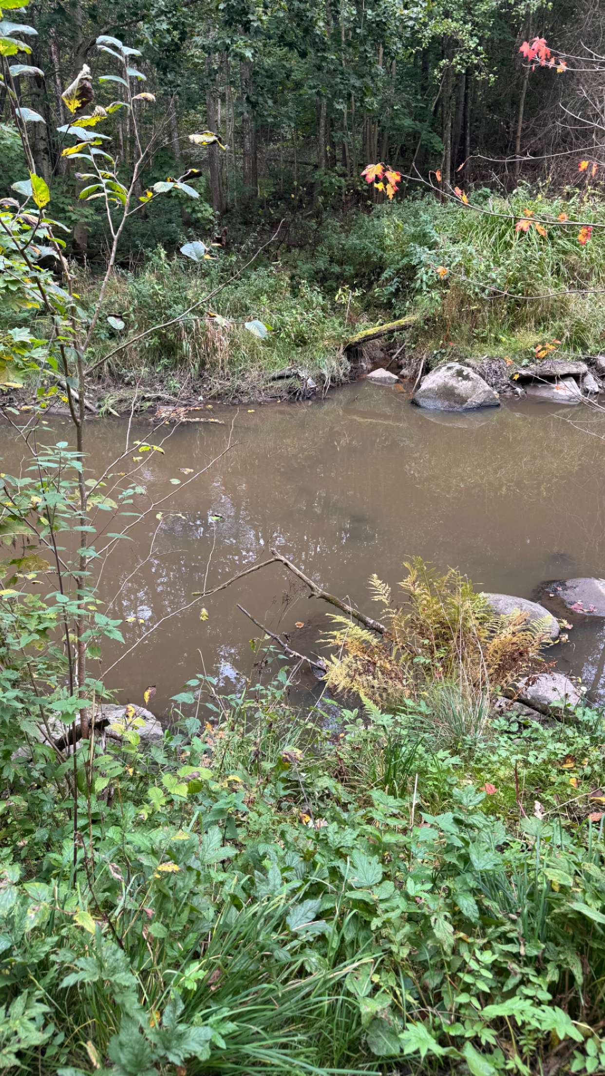 mathilda_bergs snapchat image archive image