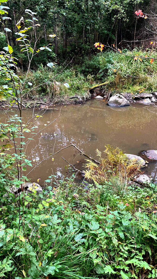 mathilda_bergs image ~ Altpins