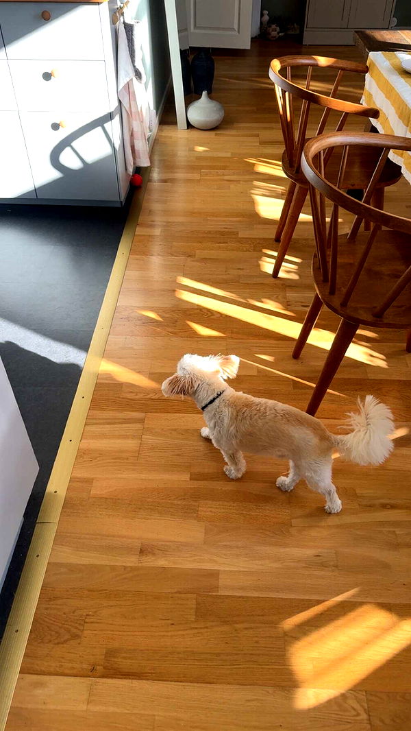 mathilda_bergs image ~ Altpins