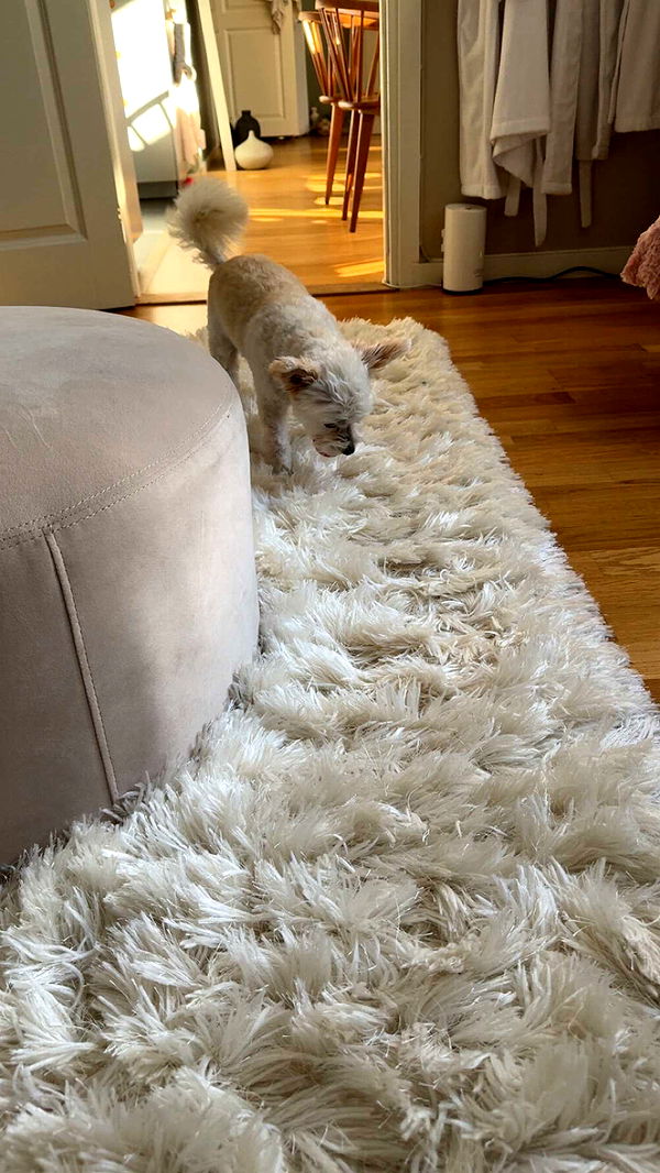 mathilda_bergs image ~ Altpins