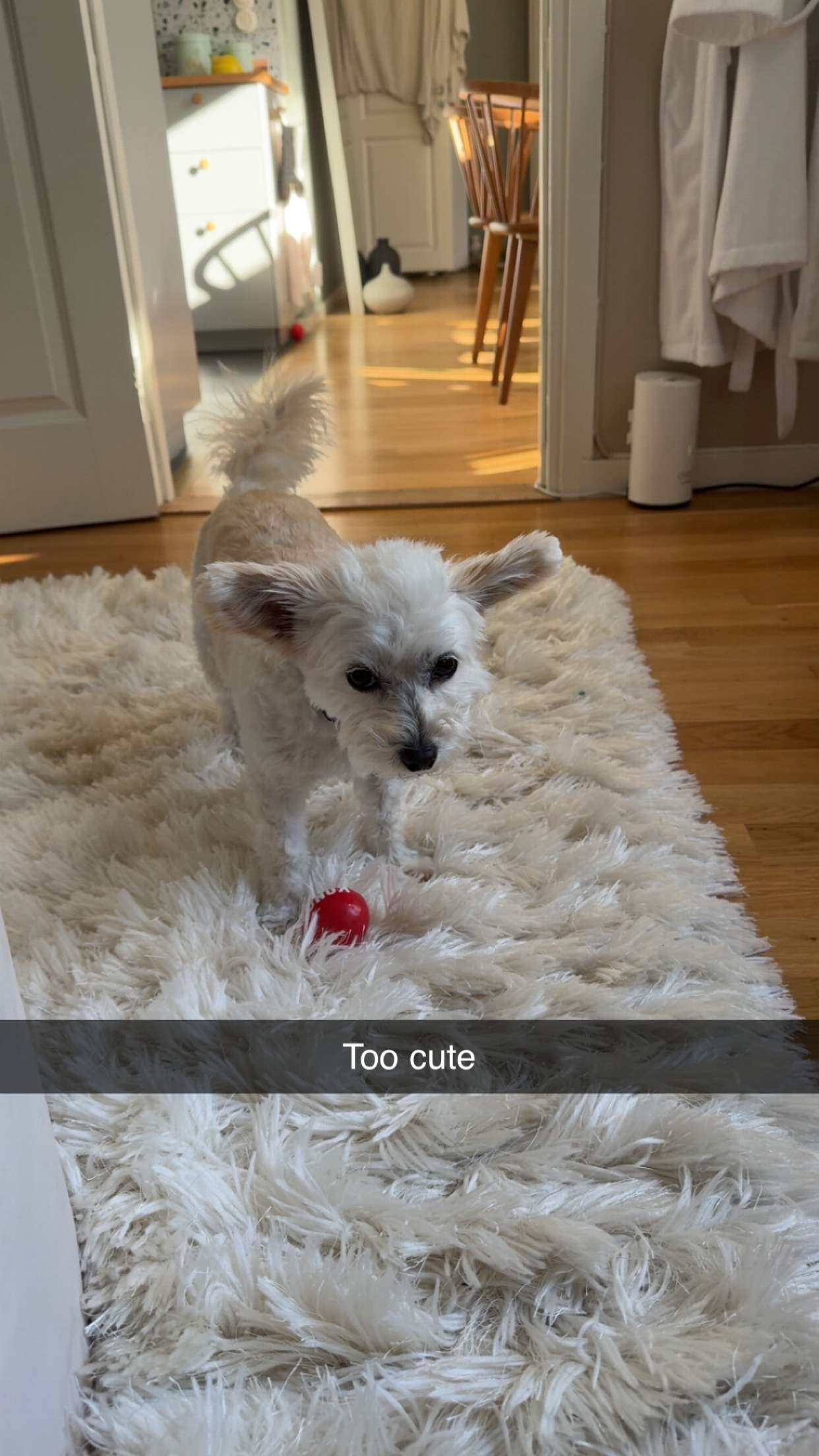 mathilda_bergs snapchat image archive image