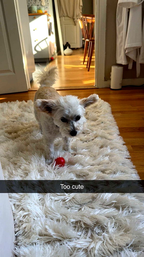 mathilda_bergs image ~ Altpins