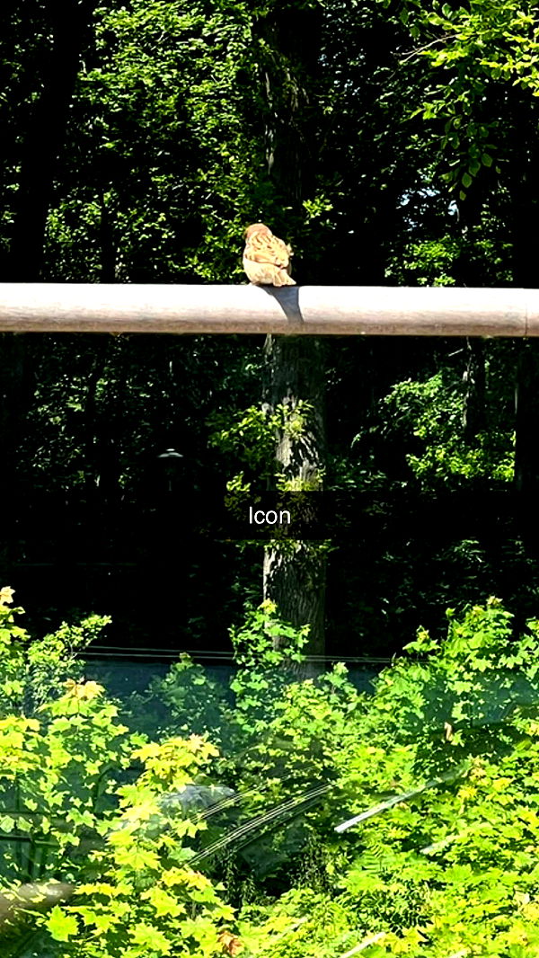 mathilda_bergs image ~ Altpins