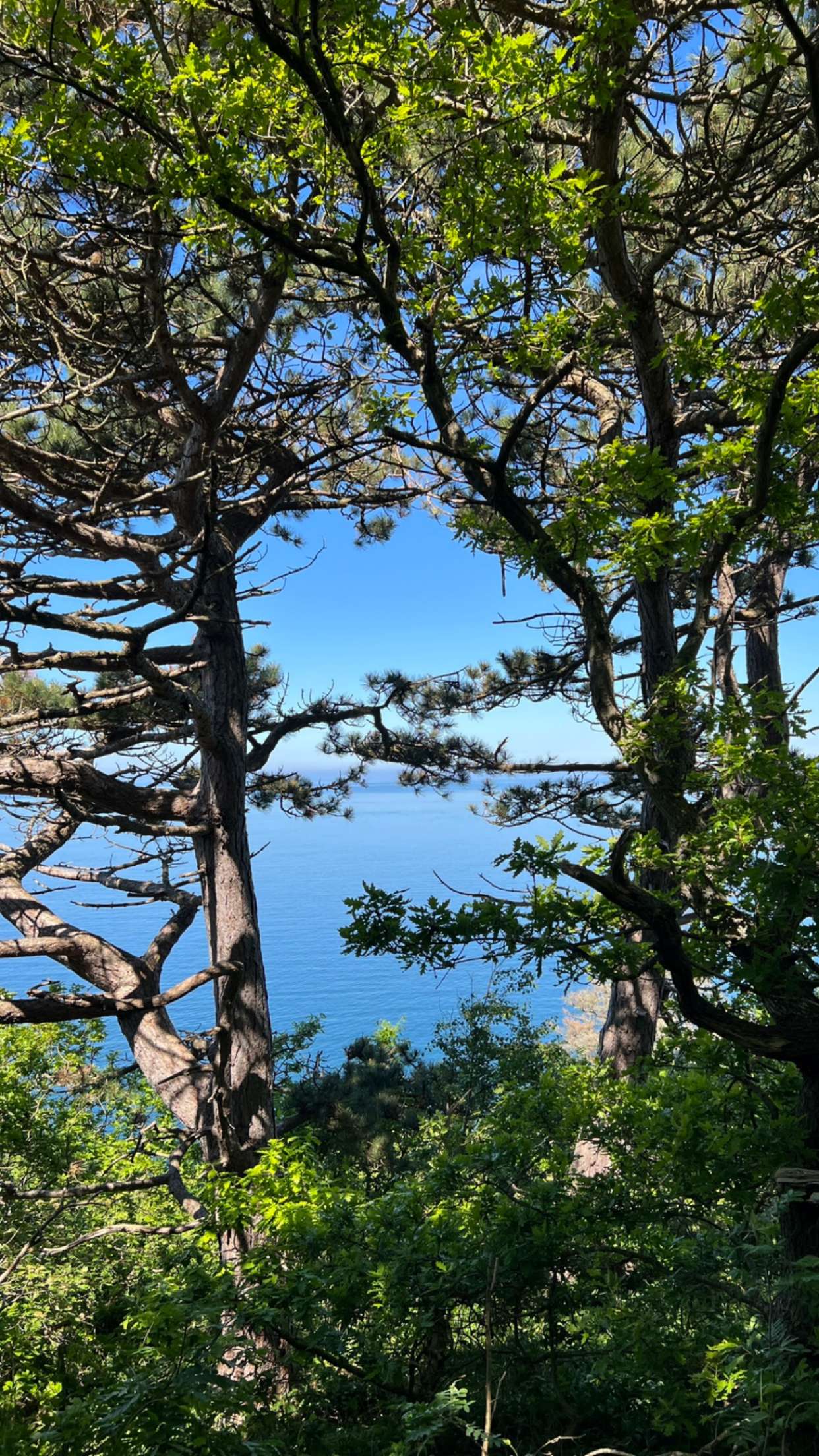 mathilda_bergs snapchat image archive image