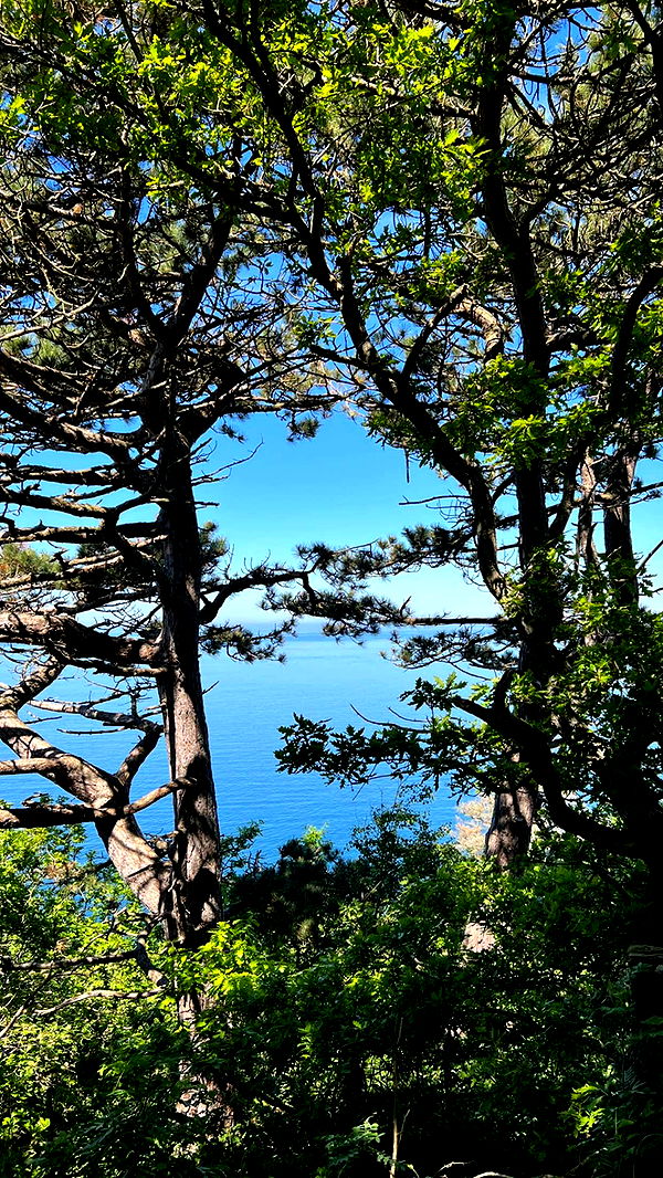 mathilda_bergs image ~ Altpins