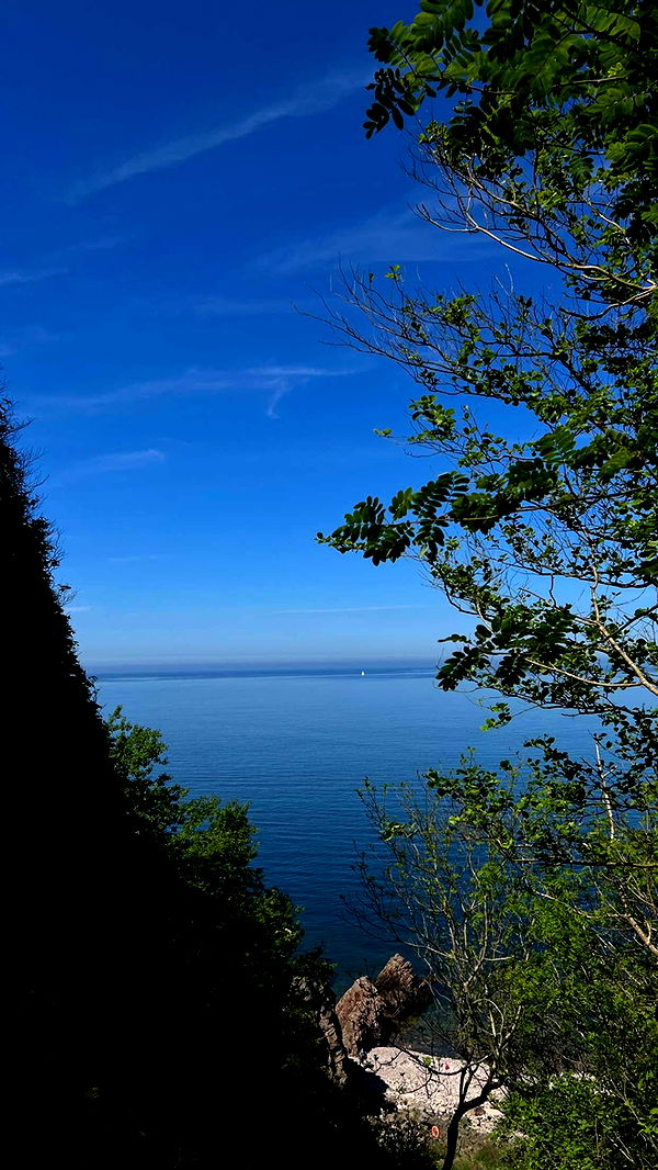 mathilda_bergs image ~ Altpins